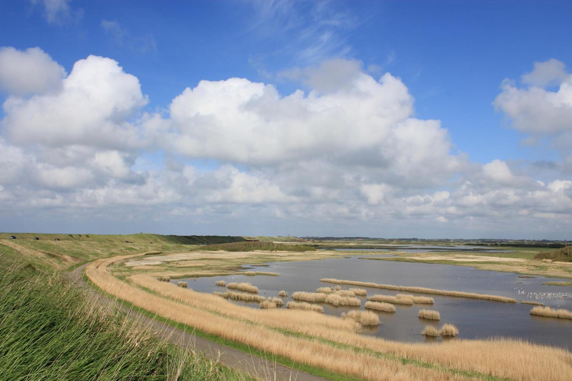 103D Nieuwe Vakantiewoning Met Sauna Westkapelle Buitenkant foto